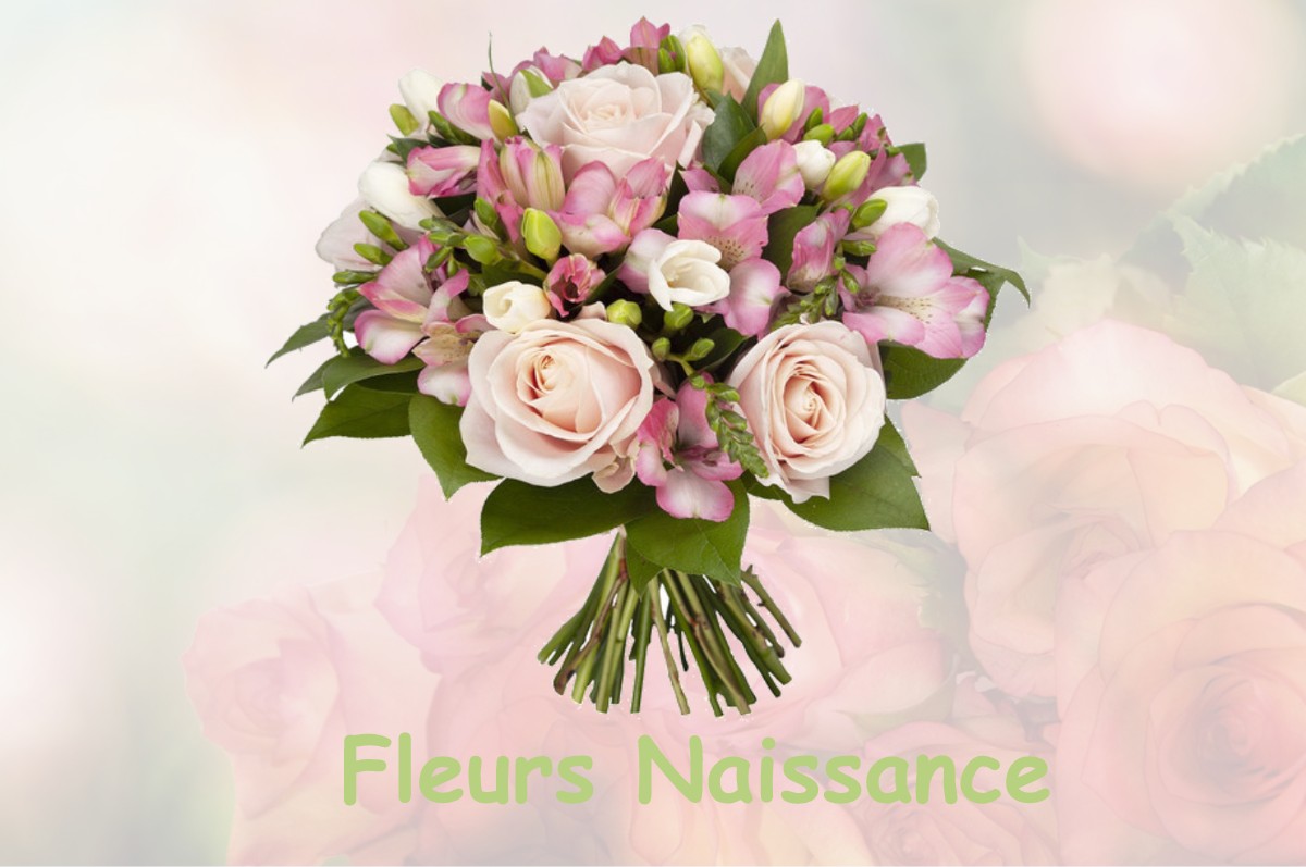 fleurs naissance REBRECHIEN