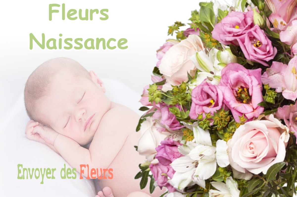 lIVRAISON FLEURS NAISSANCE à REBRECHIEN